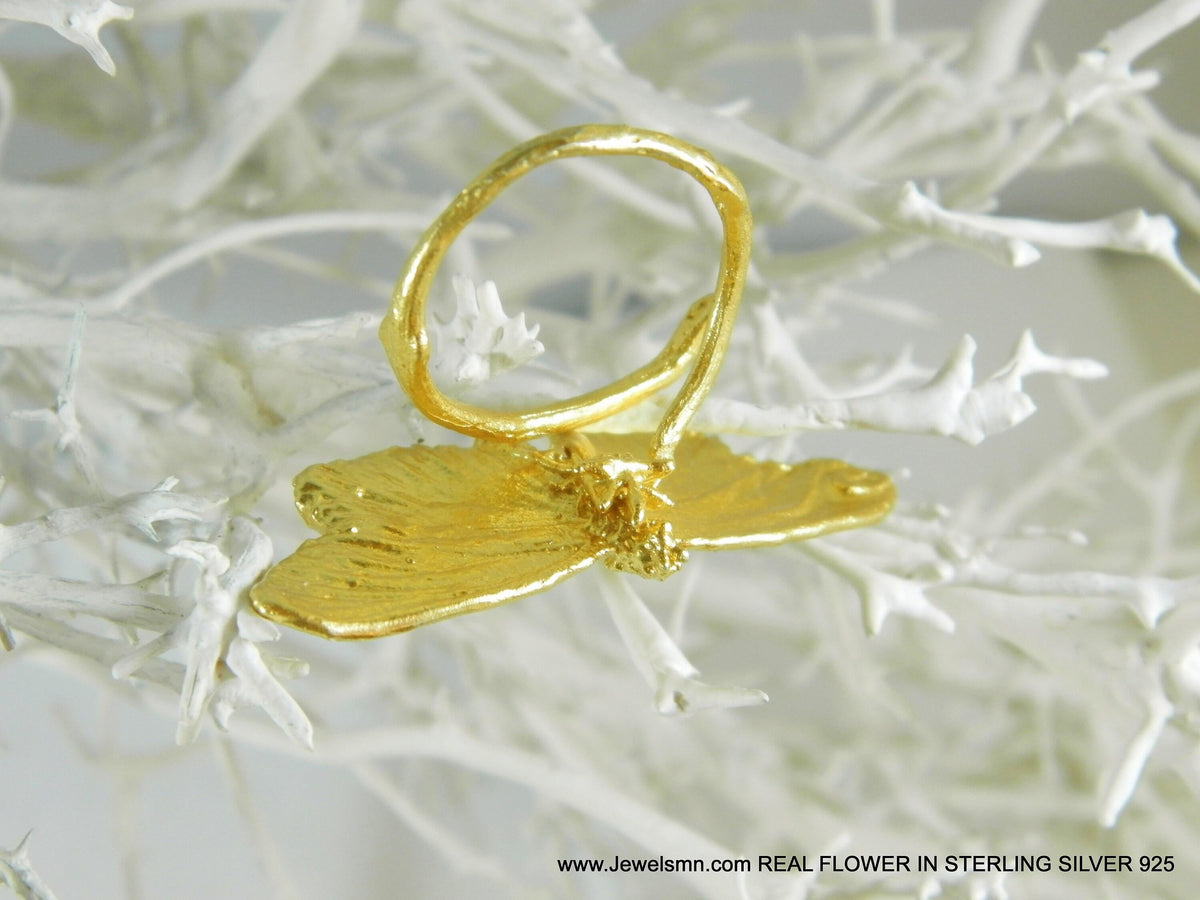Real Butterfly Ring, 14K Gold Plated Brass, Handmade Nature Jewelry