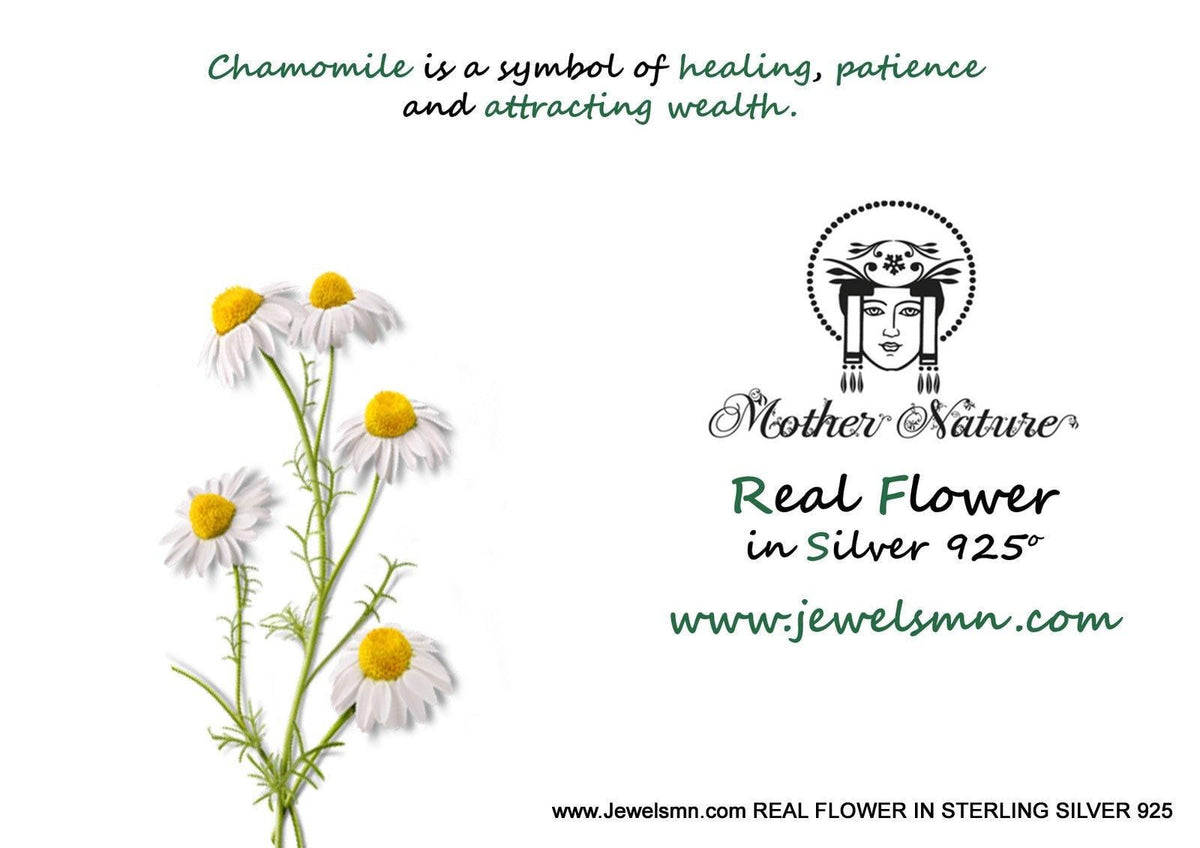Real Chamomile Flower Necklace, 14K Gold Plated Brass Pendant,