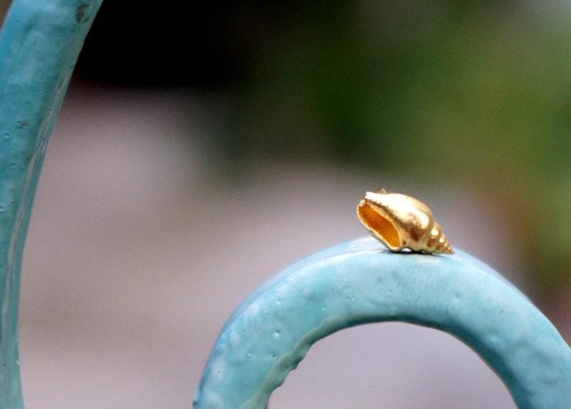 Minimalistic Sea Shell Earrings: 14k Gold on Sterling Silver Studs
